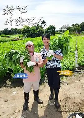 一起去露营 免费综艺在线观看